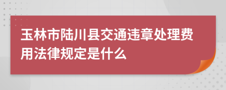 玉林市陆川县交通违章处理费用法律规定是什么