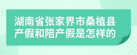 湖南省张家界市桑植县产假和陪产假是怎样的