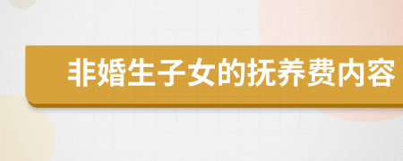 非婚生子女的抚养费内容