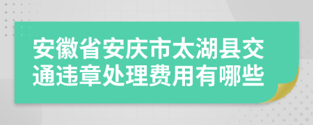 安徽省安庆市太湖县交通违章处理费用有哪些