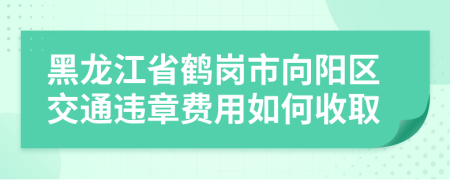 黑龙江省鹤岗市向阳区交通违章费用如何收取