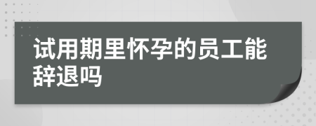 试用期里怀孕的员工能辞退吗