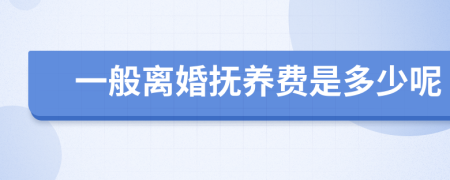 一般离婚抚养费是多少呢