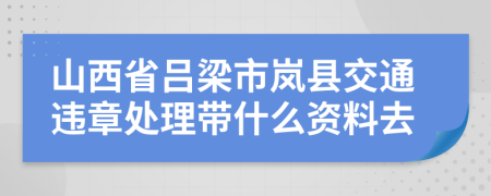 山西省吕梁市岚县交通违章处理带什么资料去
