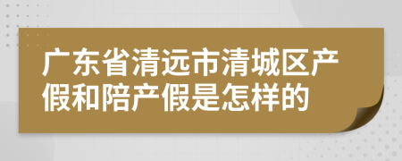 广东省清远市清城区产假和陪产假是怎样的