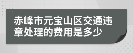 赤峰市元宝山区交通违章处理的费用是多少