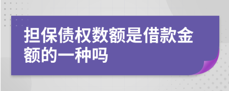 担保债权数额是借款金额的一种吗