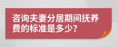 咨询夫妻分居期间抚养费的标准是多少？