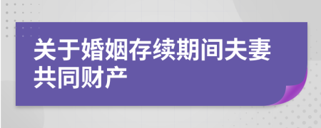 关于婚姻存续期间夫妻共同财产