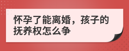 怀孕了能离婚，孩子的抚养权怎么争