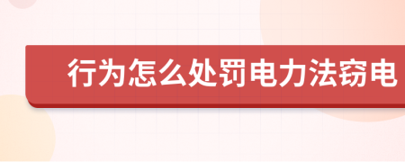 行为怎么处罚电力法窃电