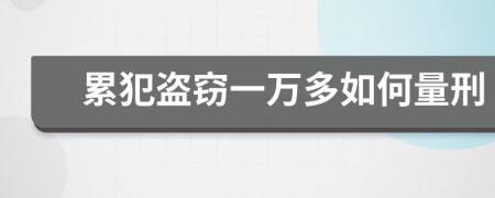 累犯盗窃一万多如何量刑