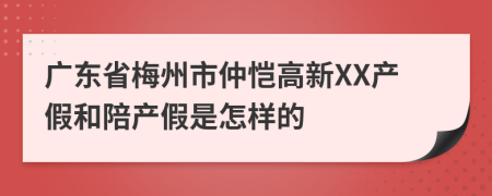 广东省梅州市仲恺高新XX产假和陪产假是怎样的