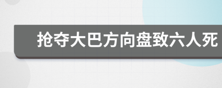 抢夺大巴方向盘致六人死