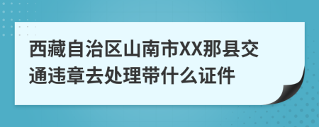 西藏自治区山南市XX那县交通违章去处理带什么证件