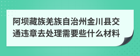 阿坝藏族羌族自治州金川县交通违章去处理需要些什么材料