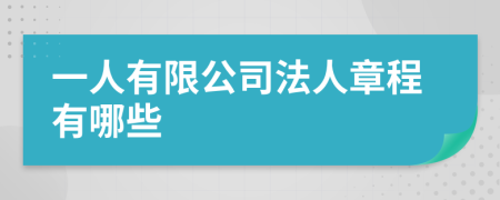 一人有限公司法人章程有哪些