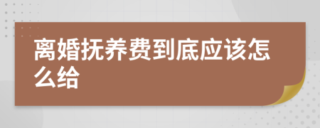 离婚抚养费到底应该怎么给