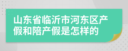 山东省临沂市河东区产假和陪产假是怎样的