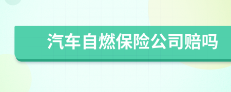 汽车自燃保险公司赔吗