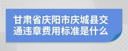 甘肃省庆阳市庆城县交通违章费用标准是什么