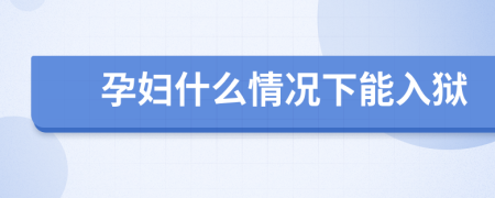 孕妇什么情况下能入狱