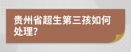 贵州省超生第三孩如何处理？