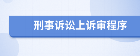 刑事诉讼上诉审程序