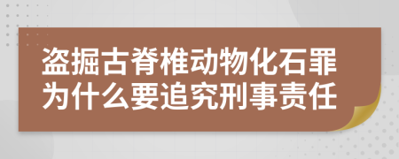 盗掘古脊椎动物化石罪为什么要追究刑事责任