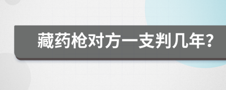 藏药枪对方一支判几年？