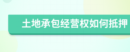 土地承包经营权如何抵押