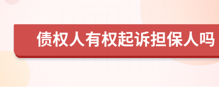 债权人有权起诉担保人吗