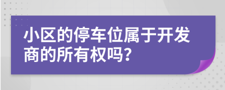 小区的停车位属于开发商的所有权吗？