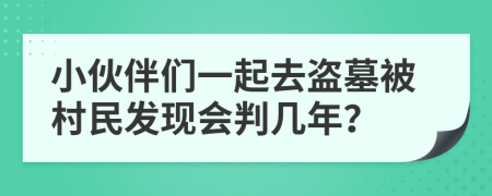 小伙伴们一起去盗墓被村民发现会判几年？
