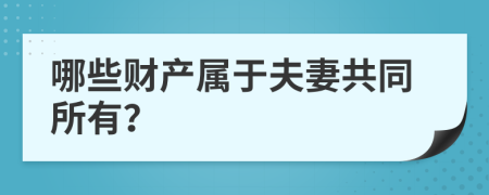 哪些财产属于夫妻共同所有？