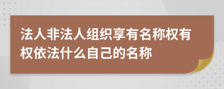 法人非法人组织享有名称权有权依法什么自己的名称