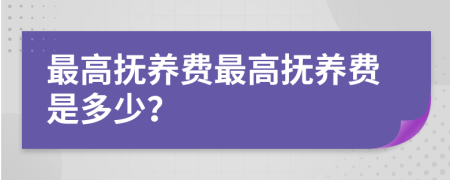 最高抚养费最高抚养费是多少？