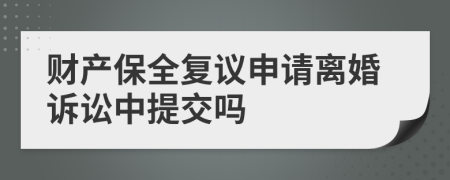 财产保全复议申请离婚诉讼中提交吗