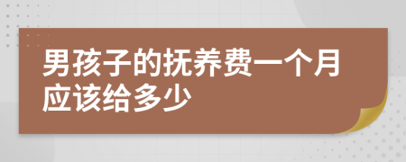 男孩子的抚养费一个月应该给多少