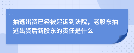 抽逃出资已经被起诉到法院，老股东抽逃出资后新股东的责任是什么