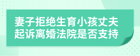 妻子拒绝生育小孩丈夫起诉离婚法院是否支持