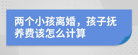 两个小孩离婚，孩子抚养费该怎么计算