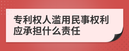 专利权人滥用民事权利应承担什么责任