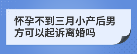 怀孕不到三月小产后男方可以起诉离婚吗