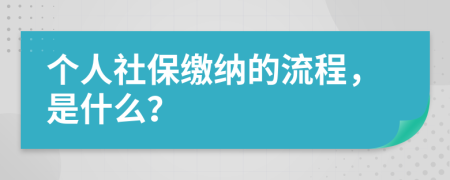 个人社保缴纳的流程，是什么？