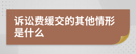 诉讼费缓交的其他情形是什么