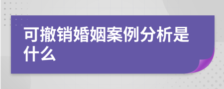 可撤销婚姻案例分析是什么