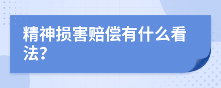 精神损害赔偿有什么看法？