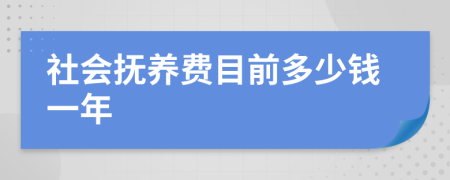 社会抚养费目前多少钱一年