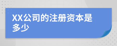 XX公司的注册资本是多少